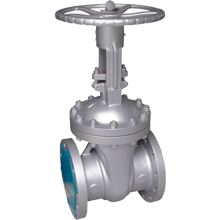 VÁLVULA GAVETA CL 150 / 300